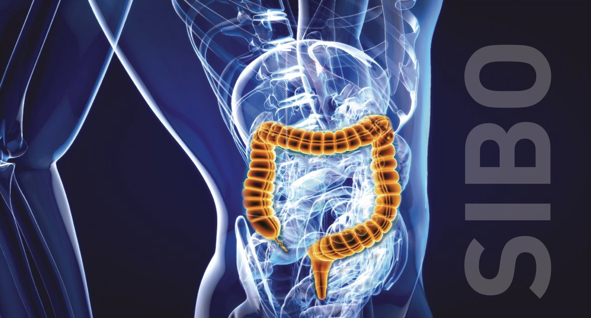 Capture d’écran 2023-09-13 à 21.46.10