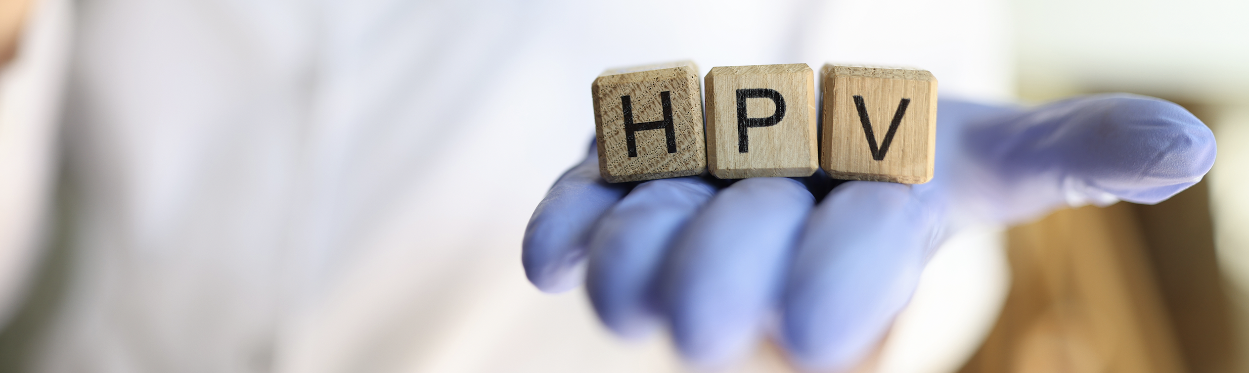 Capture d’écran 2024-02-25 à 20.30.13