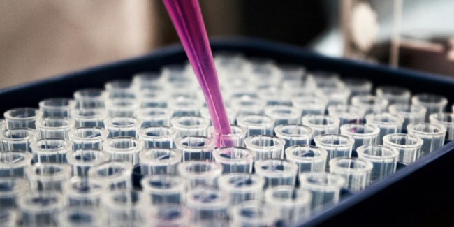 Capture d’écran 2024-12-16 à 12.50.14