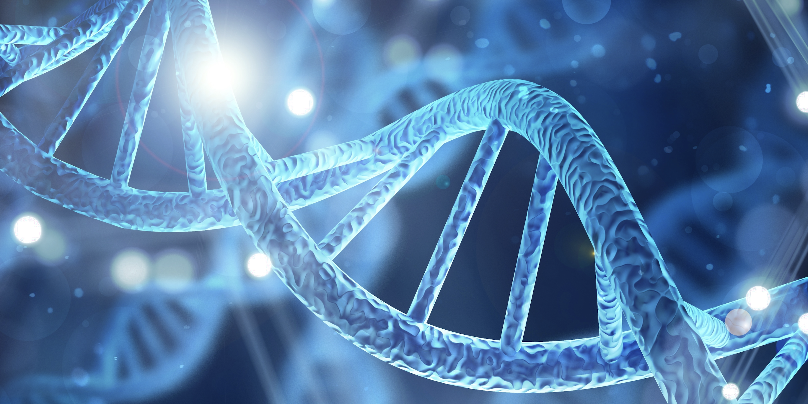 Capture d’écran 2025-05-13 à 11.27.51