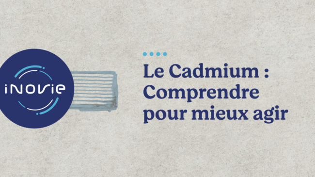 bannière site web